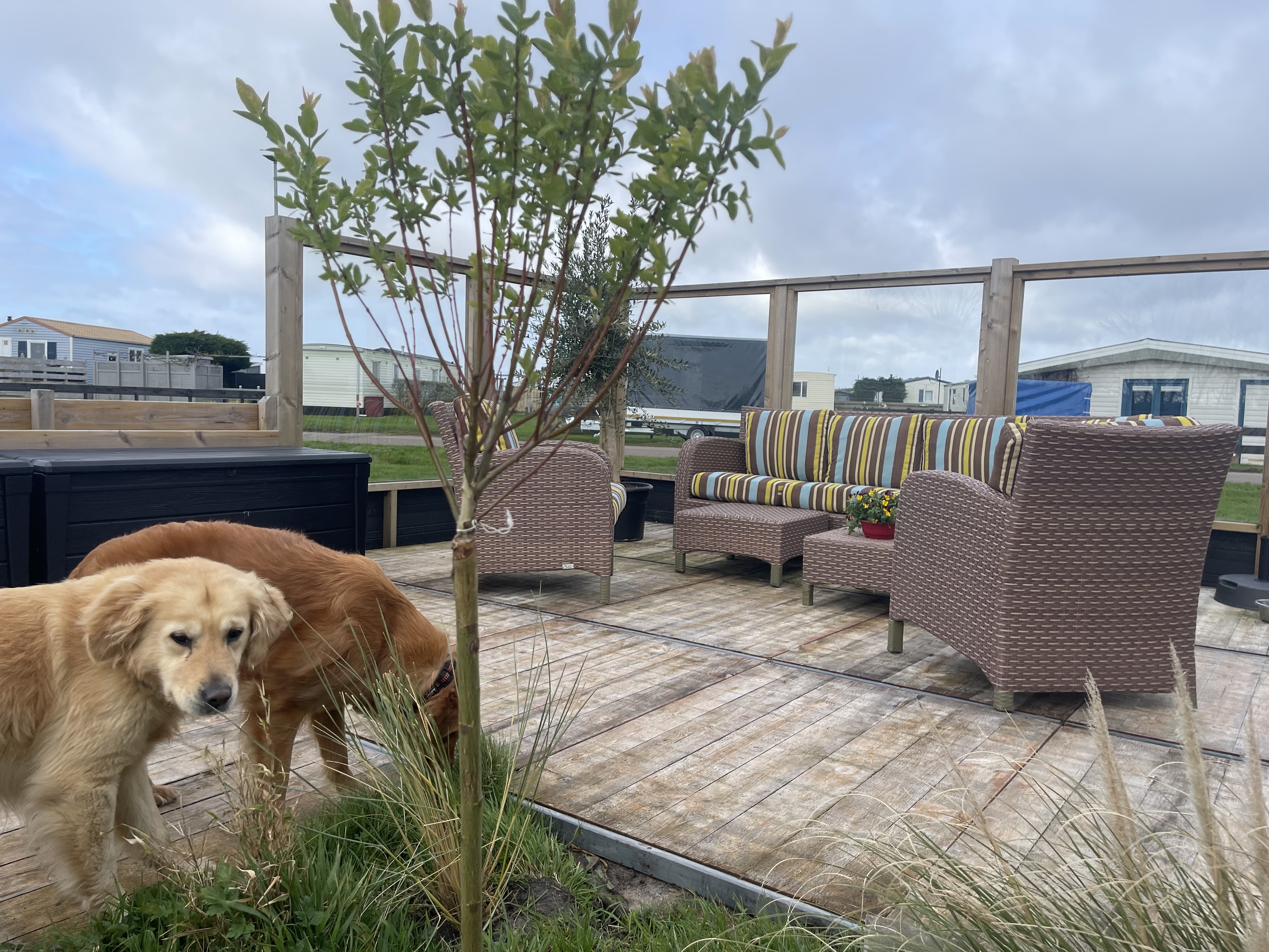 Chalet „Westerland“ Nr. 47 Zeezicht Bild 3