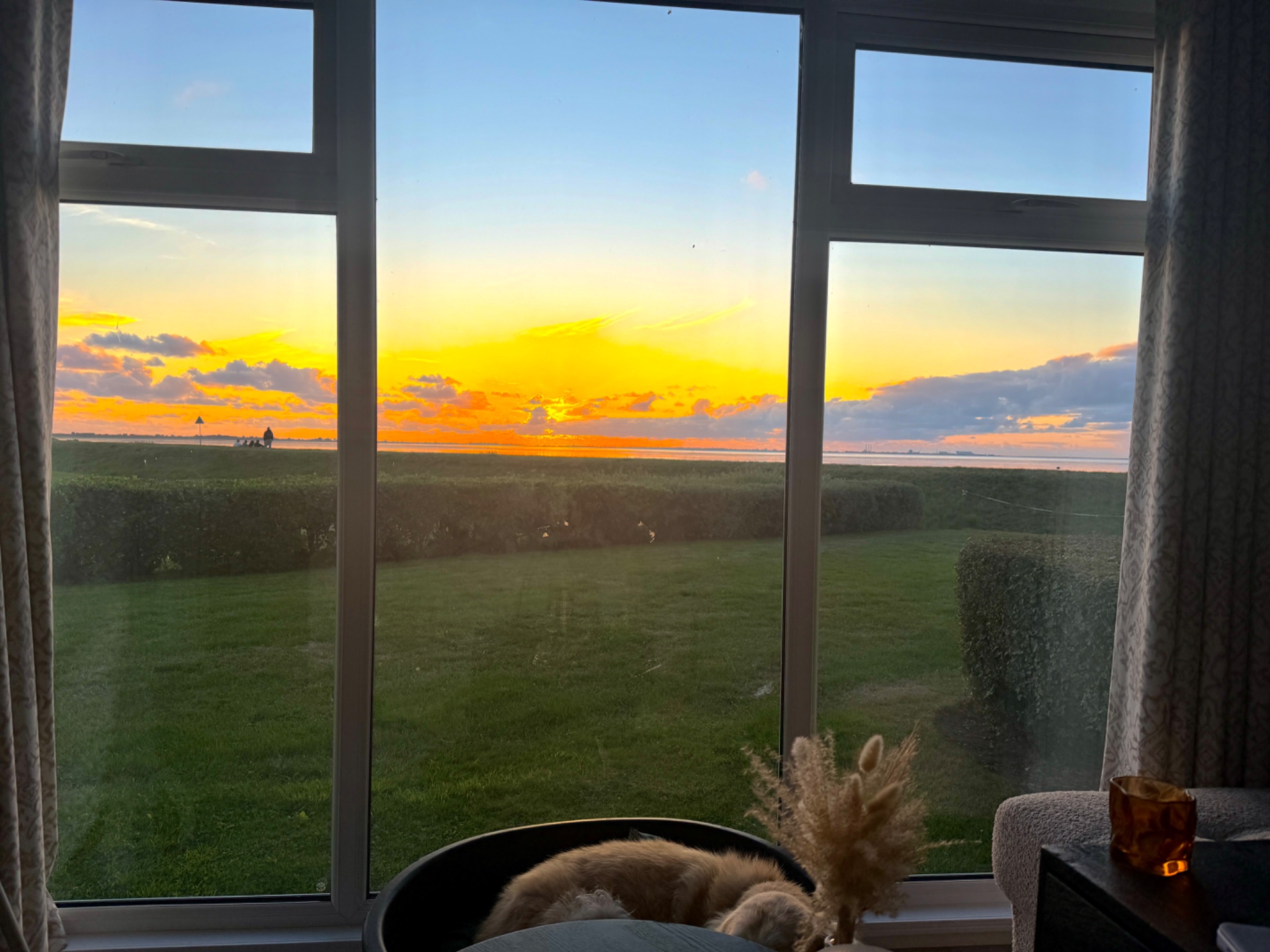 Chalet „Texel“ Nr. 3 Meerblick Zeezicht_ Bild 2
