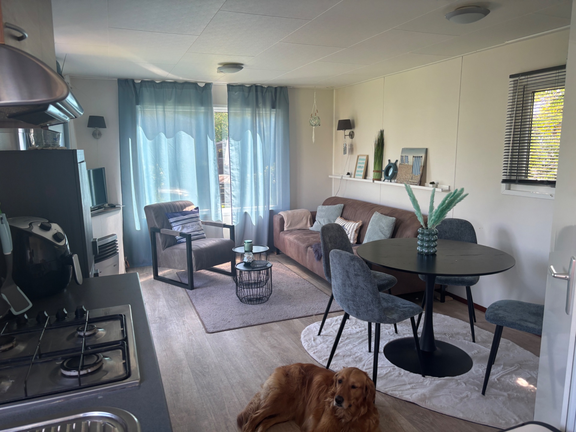 Chalet "Meeresbrise" N 9 Callantsoog Bild 4