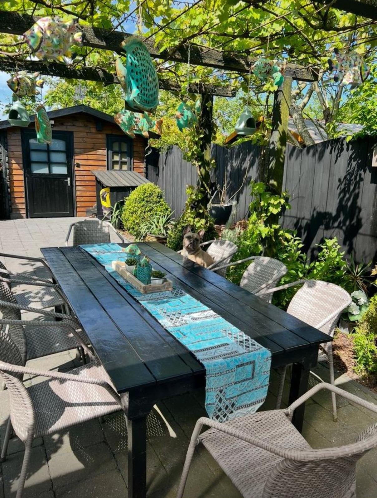 "Haus Casa Rosini" Nr. 143 Sint Maartenszee Bild 3